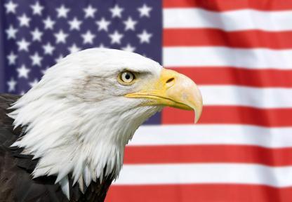 usa flag and eagle